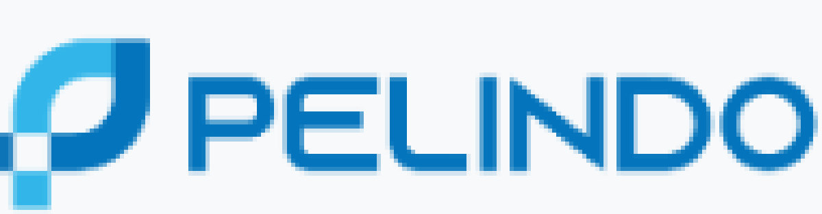 PT Pelabuhan Indonesia